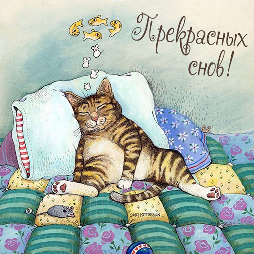 Смешные открытки с котом. Коты рисунки. Котик рисунок. Сон иллюстрация. Кот мечтатель.