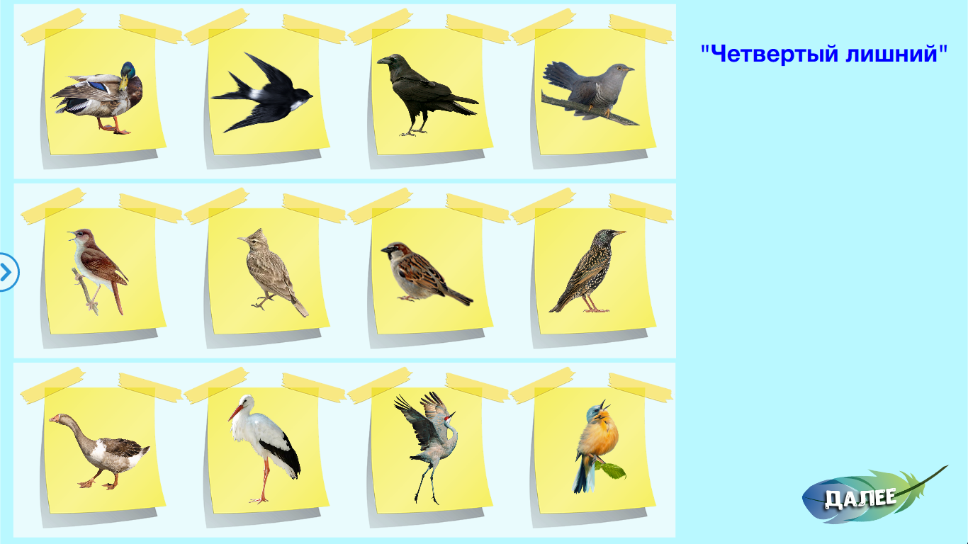 Тематическое планирование тема перелетные птицы. Поделка перелетные птицы. Перелетные птицы Тульской области. Игры на липучках перелетные птицы. Поделки перелетные птицы для детского сада.