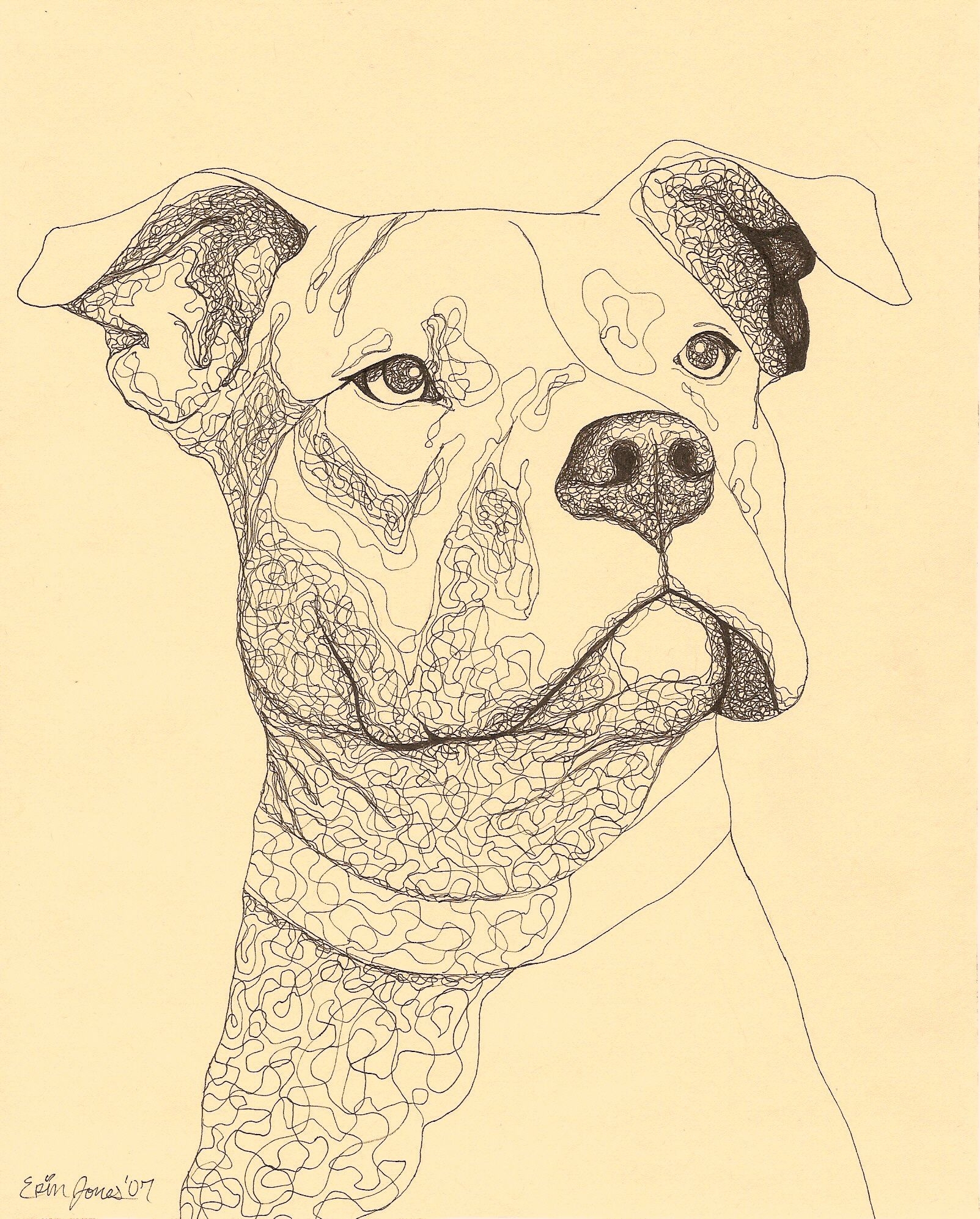 Рисунок собаки графика. Эскиз собаки. Собака рисунок. Собака Графика. Морда собаки.