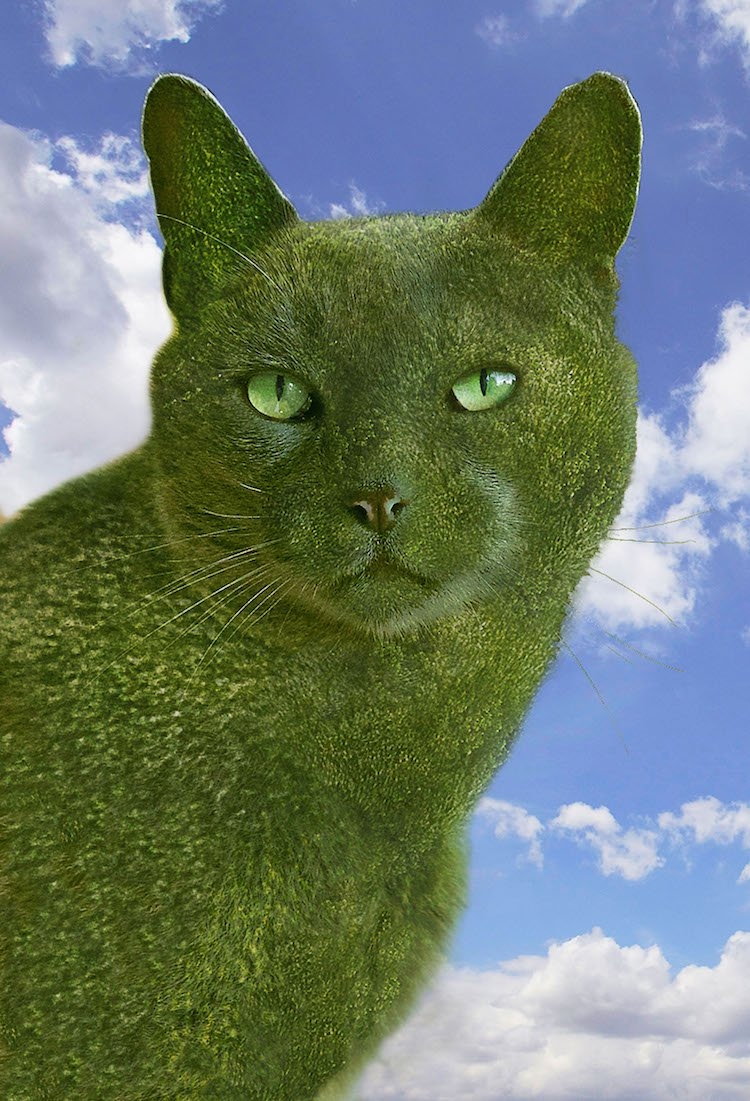 Зеленый кот картина