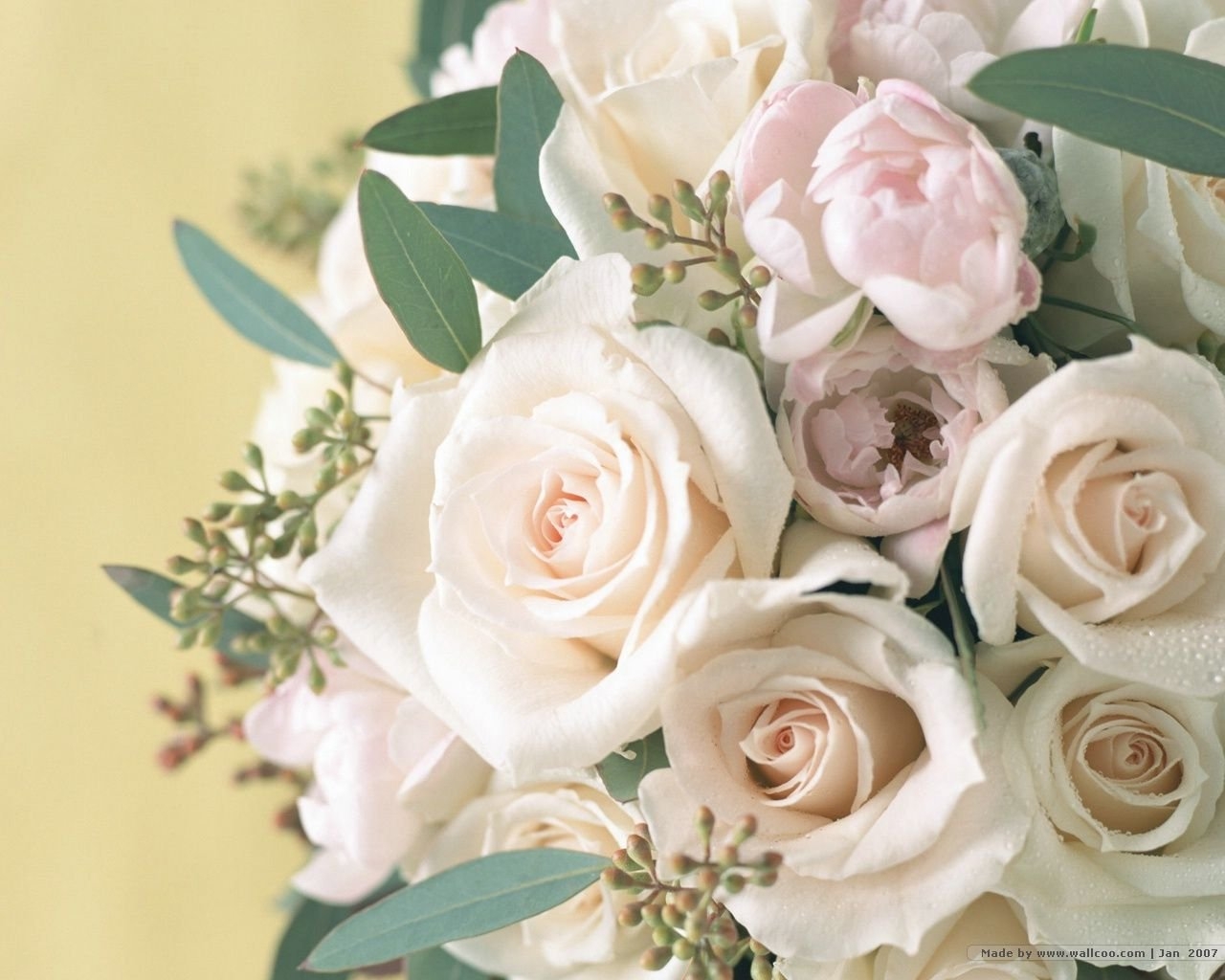 Воскресно белый. Свадебные цветы. Открытки с белыми розами. Бело розовые розы. Бежевый букет с розами.