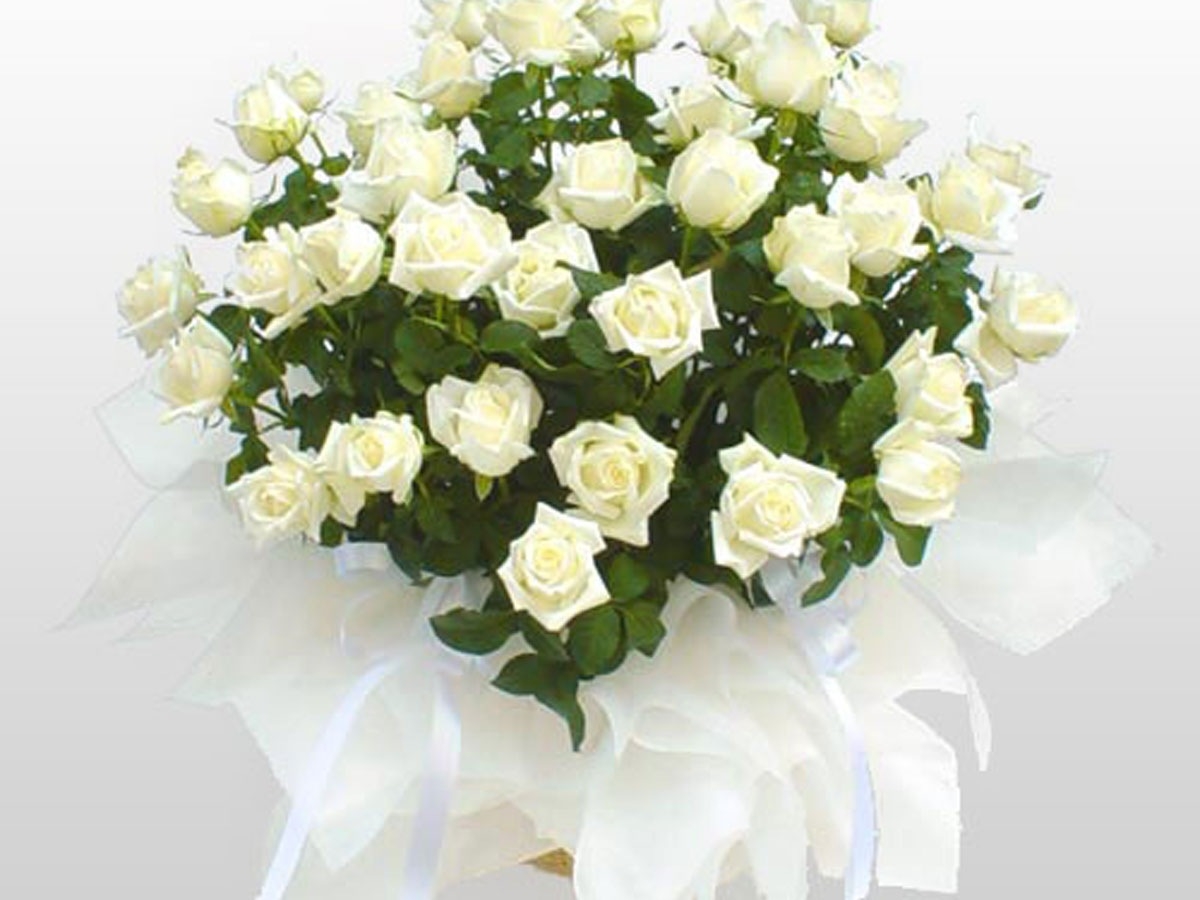 Сон белые розы букет. Шикарный букет белых роз. Огромный букет белых роз. Букет из белых роз.