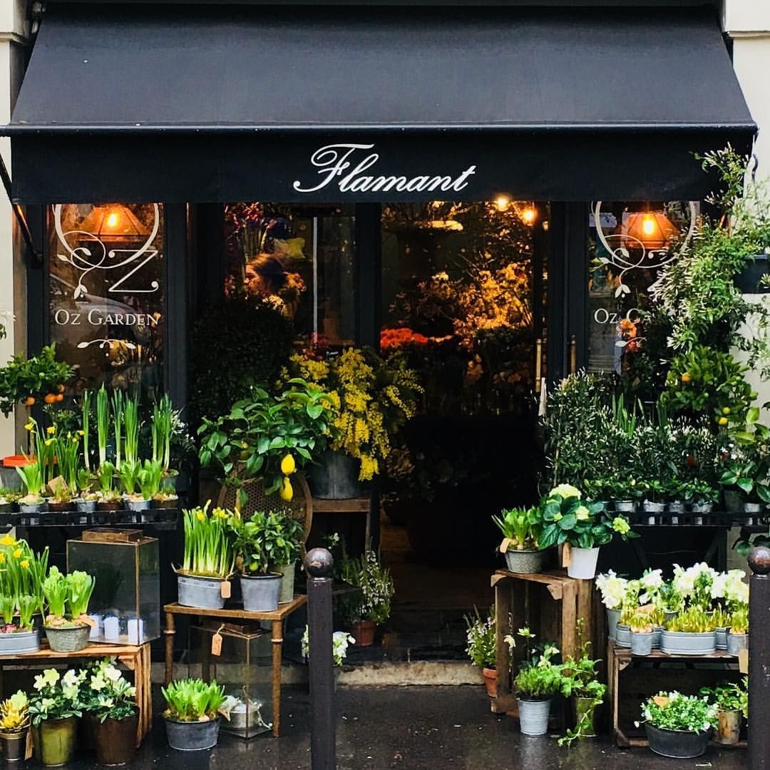 My flower shop. Витрина магазина цветов. Красивый магазин цветов. Витрина цветочного магазина. Цветочный магазин в Европе.