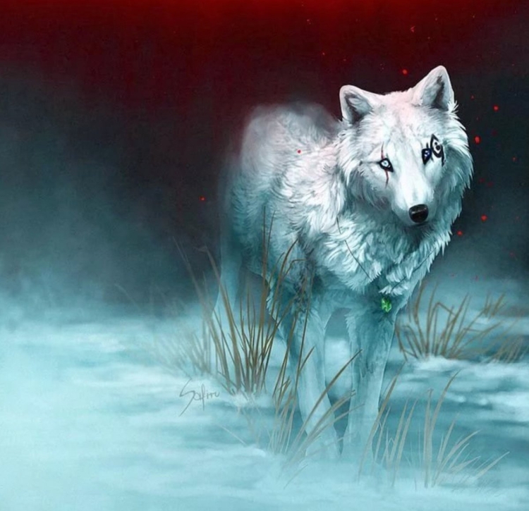 Белая волчица арт