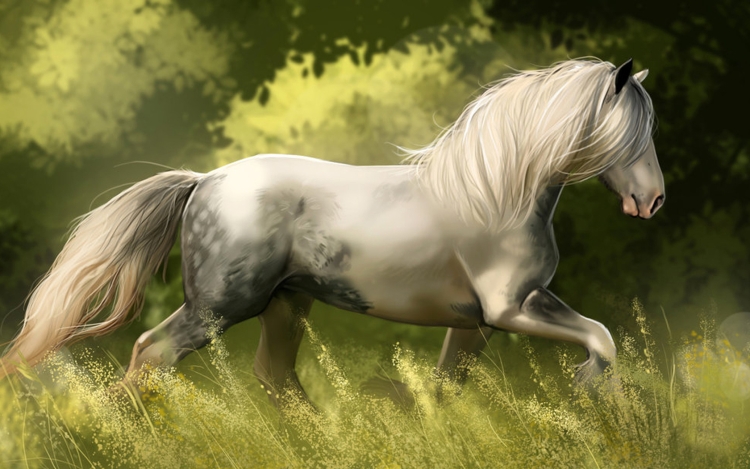 Белый конь арт