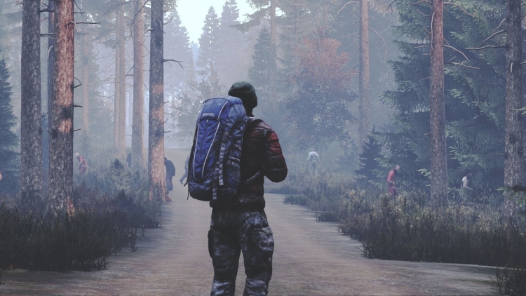 Dayz фон