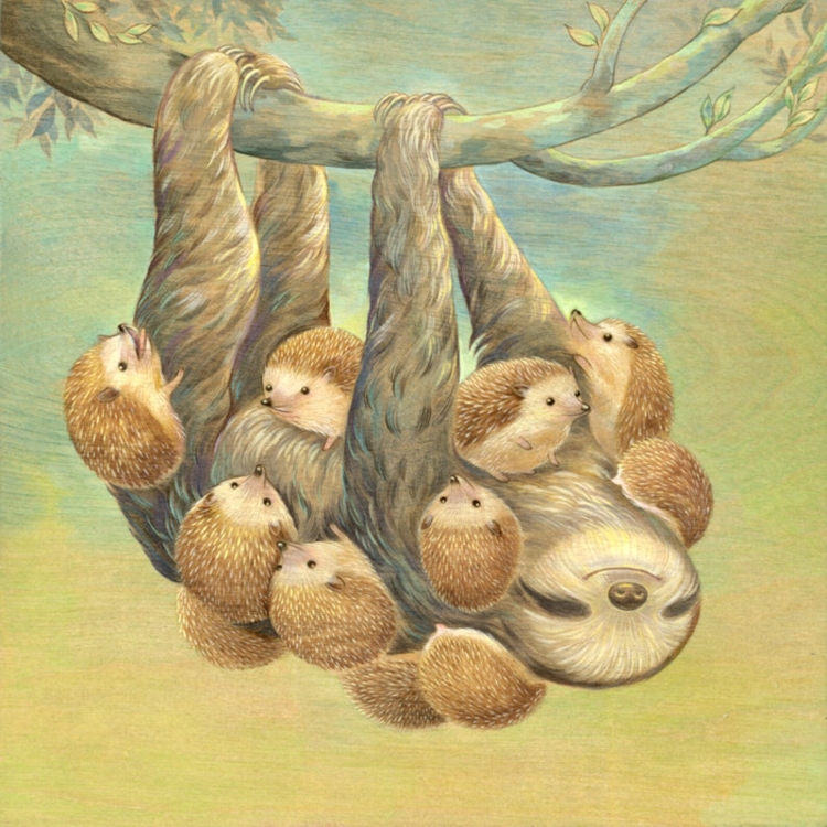 Милые ленивцы рисунки