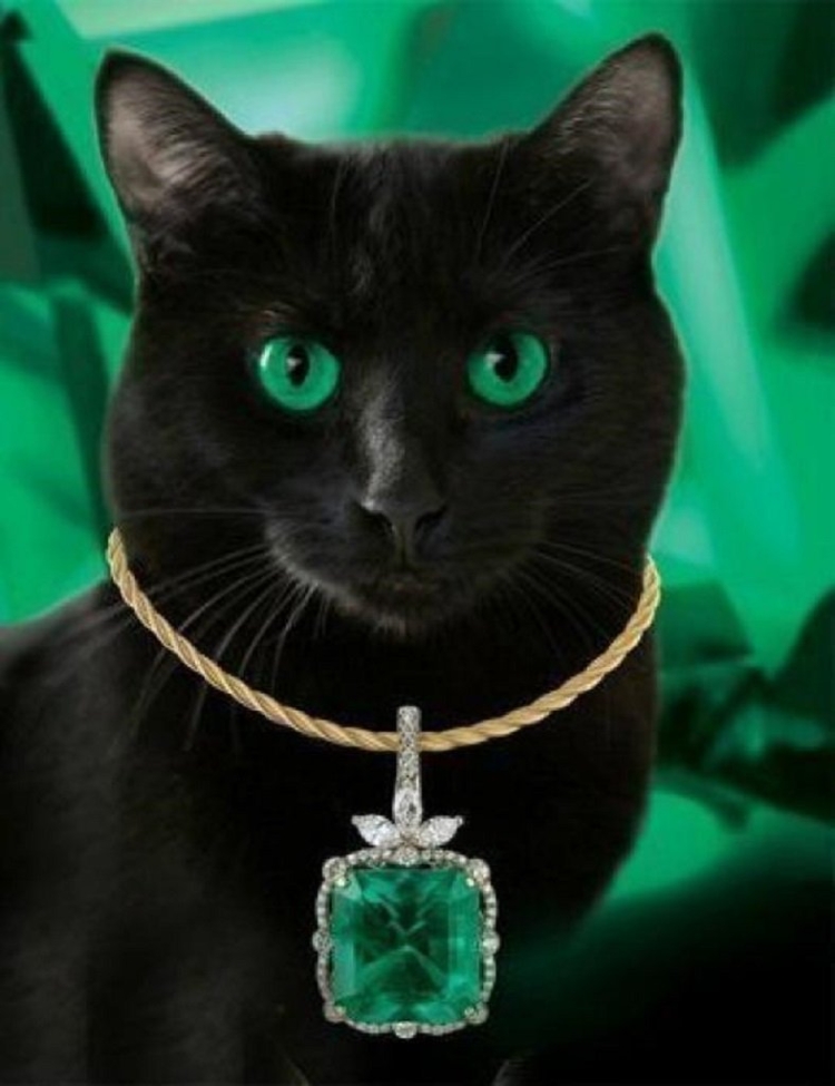 Cat aesthetic Art
