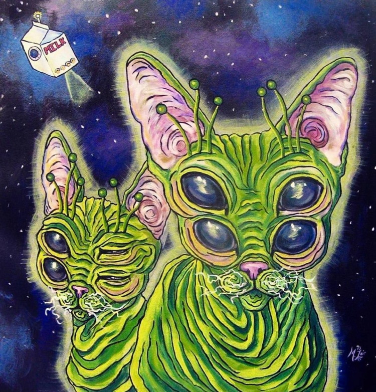Кислотный кот