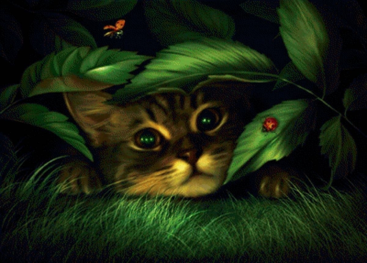 Зеленый кот Варна