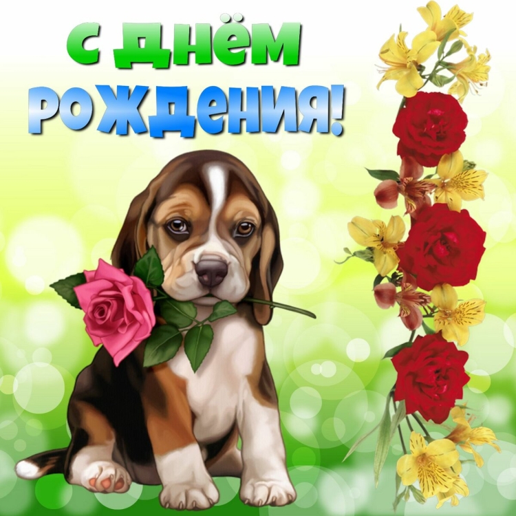 С днём рождения Анна
