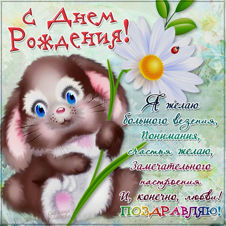С днём рождения Аня