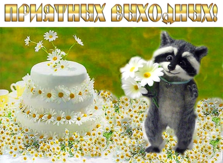 С днём рождения Аня