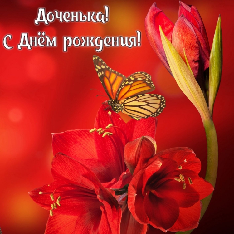 Поздравление взрослой дочери от мамы