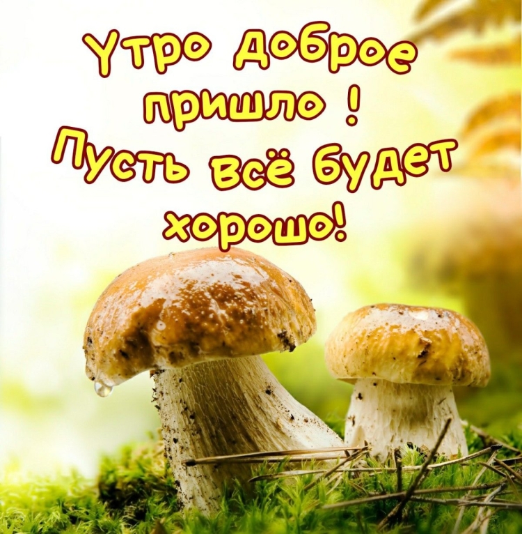 Картина грибники