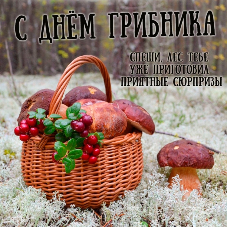 Грибы для декупажа