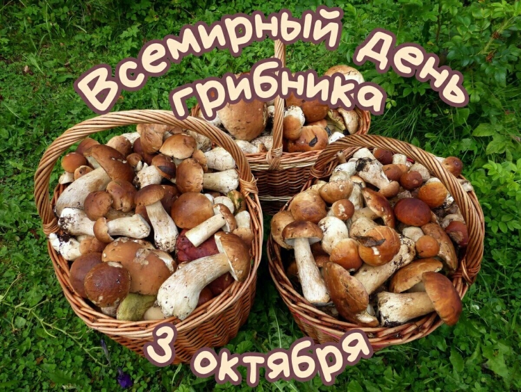 26 Сентября Европейский день грибов