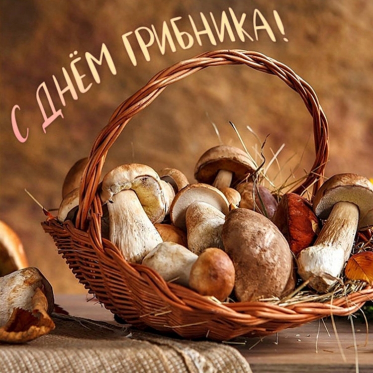 Поганка Мухоморовна