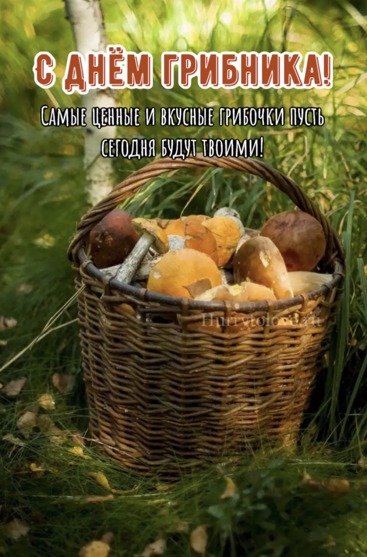 Всемирный день грибника