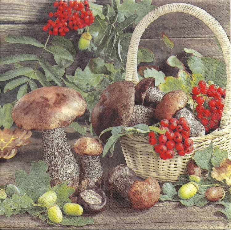 Урожай грибов