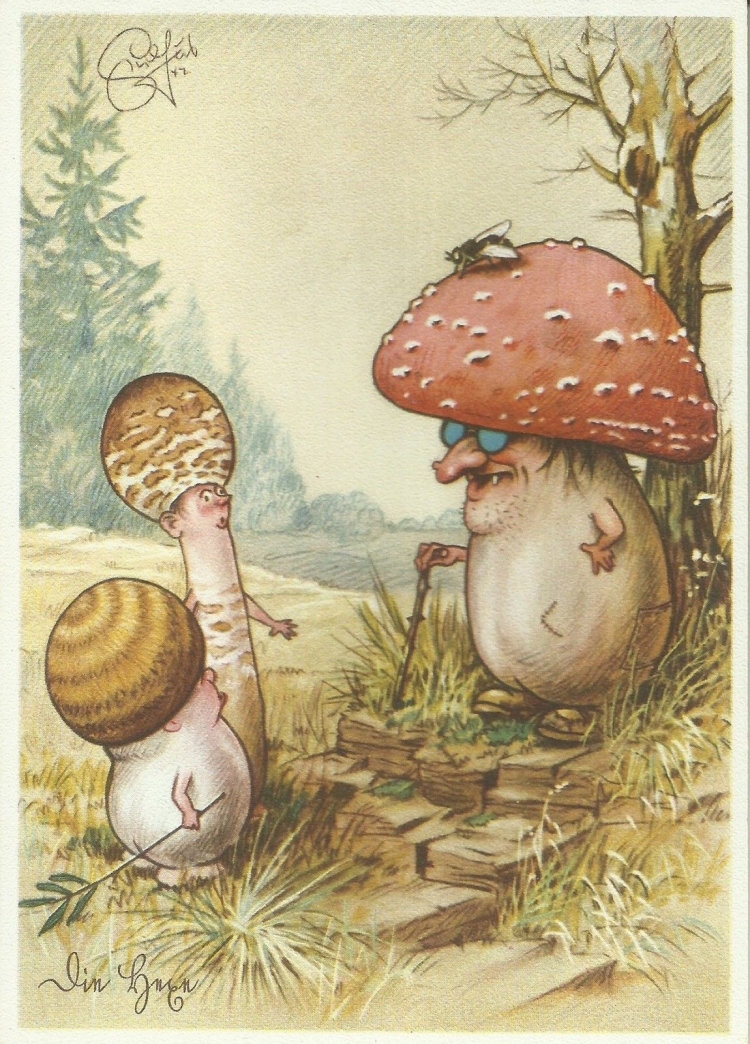 Красивые грибочки