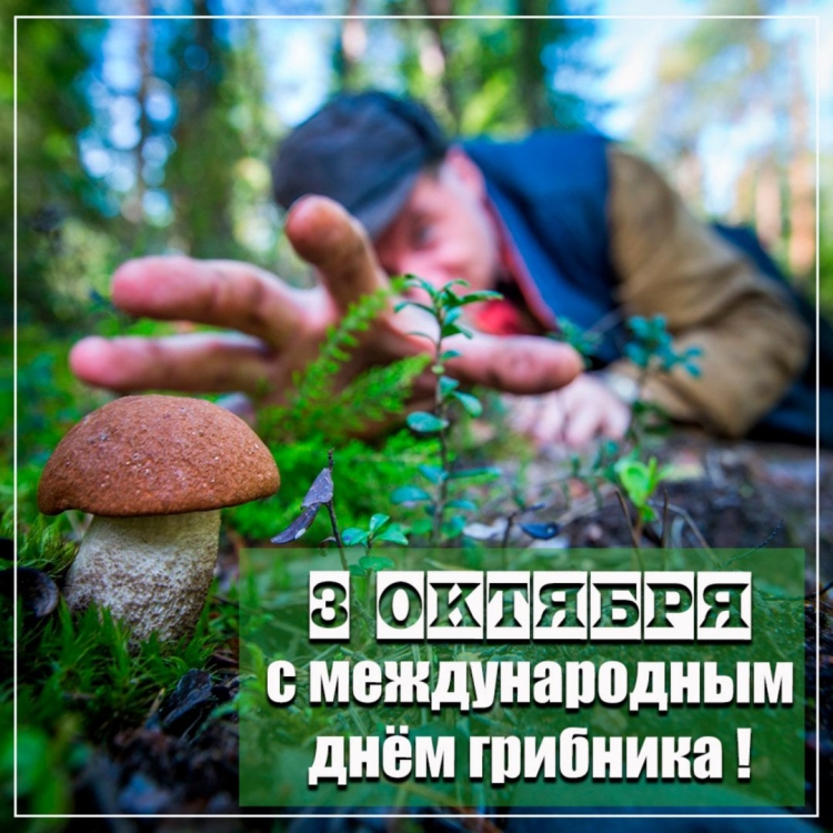 Лукошко для грибов