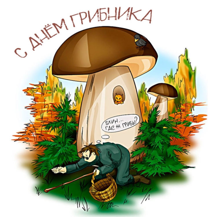 Корзина с грибами