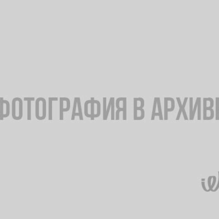 Грибник иллюстрация