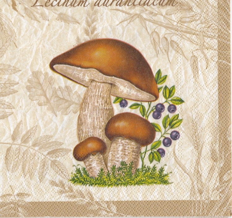 С днём рождения грибнику