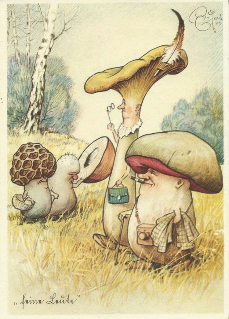 Корзина для грибов