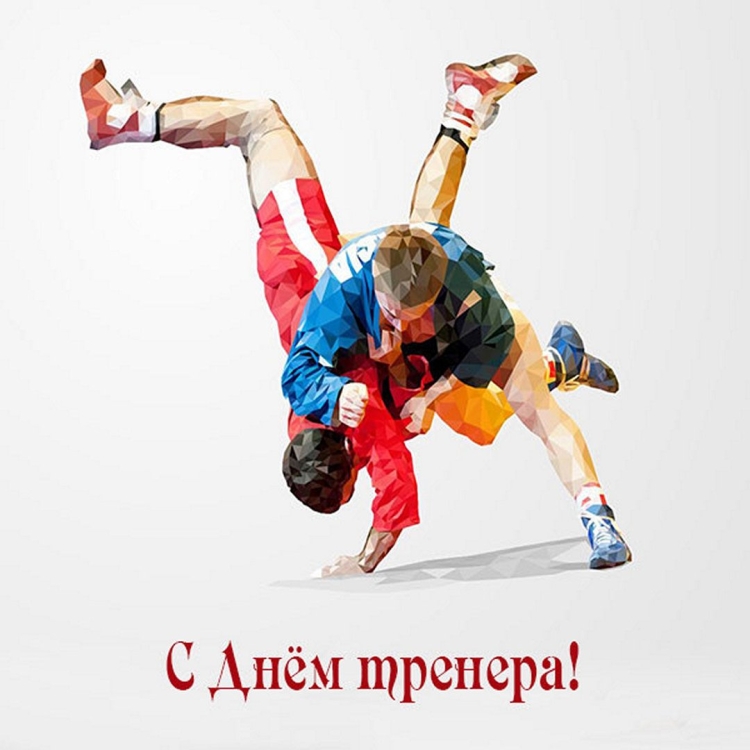 Дзюдо фон
