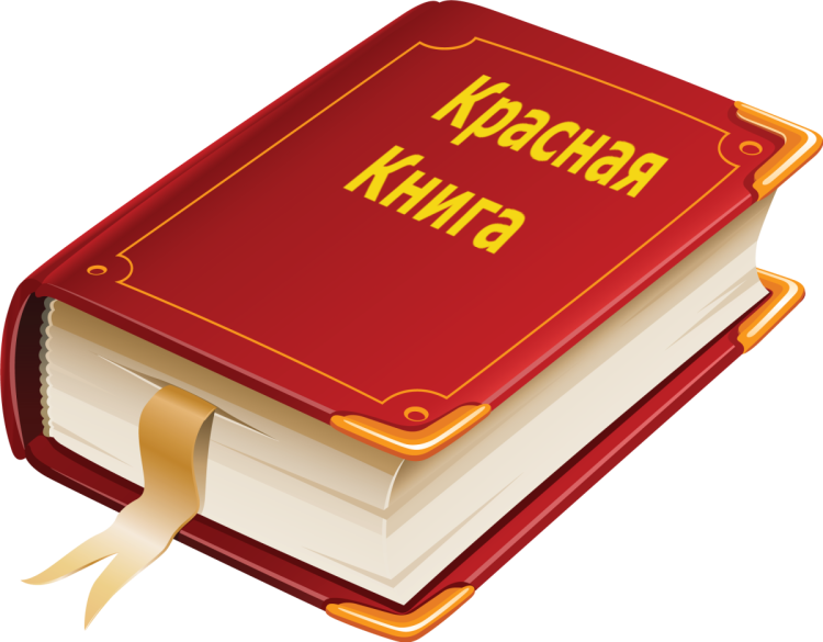 Фон красная книга для презентации