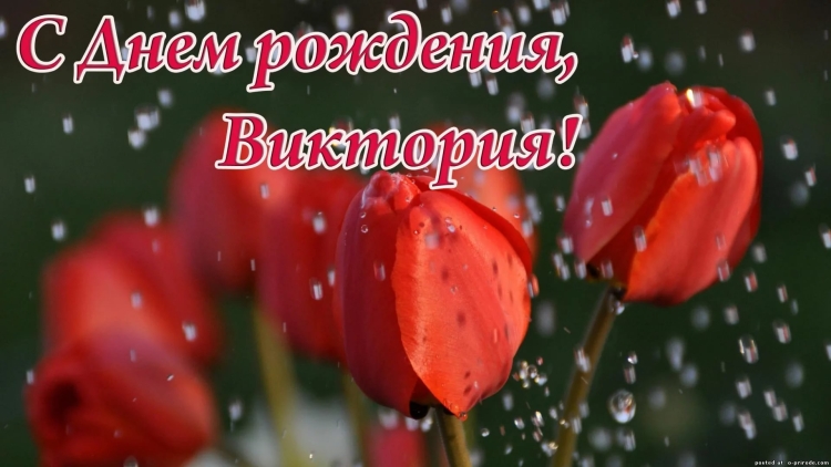 Прикольные открытки с днем рождения