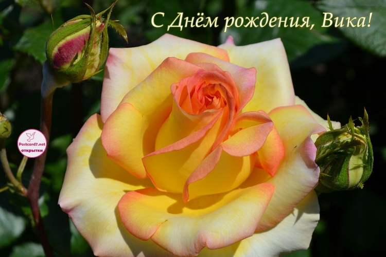 День матери баннер