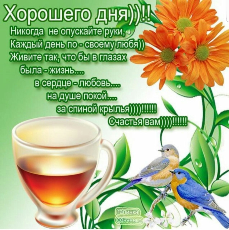 Открытки улыбнись