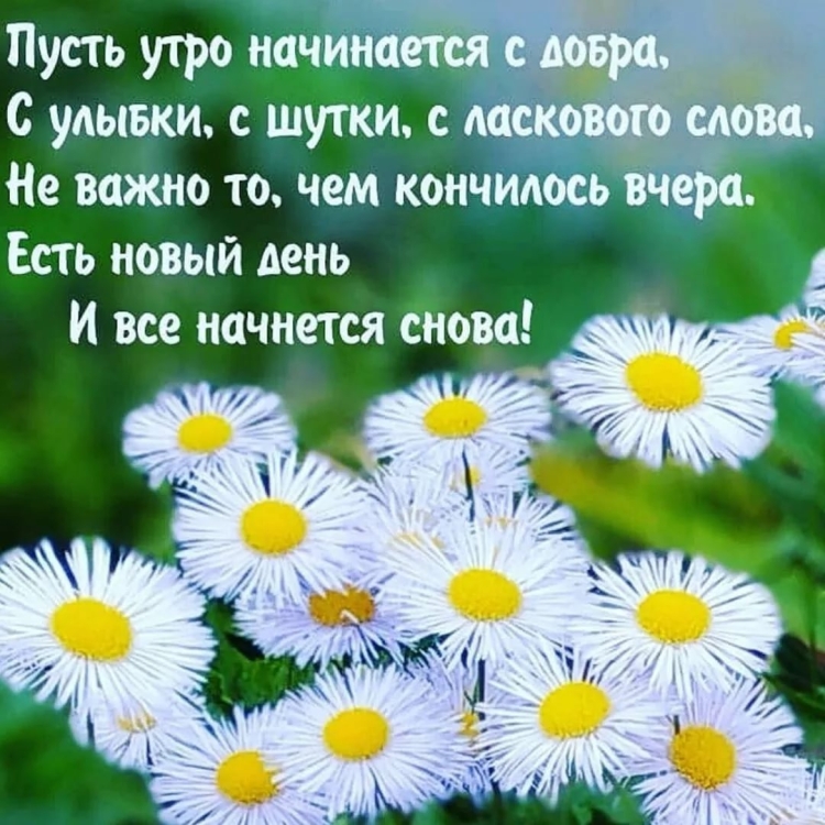 Хорошего дня и настроения