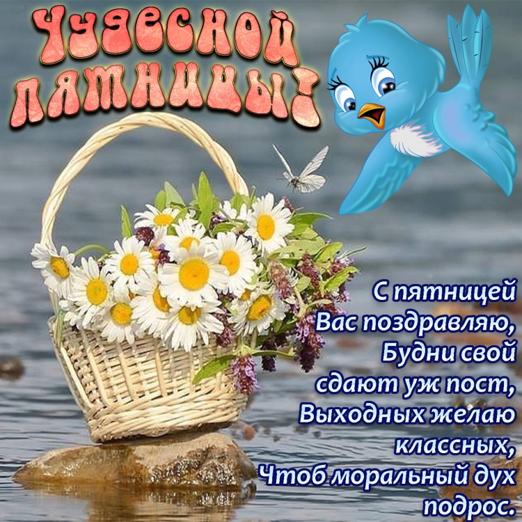 Приветствия на каждый день