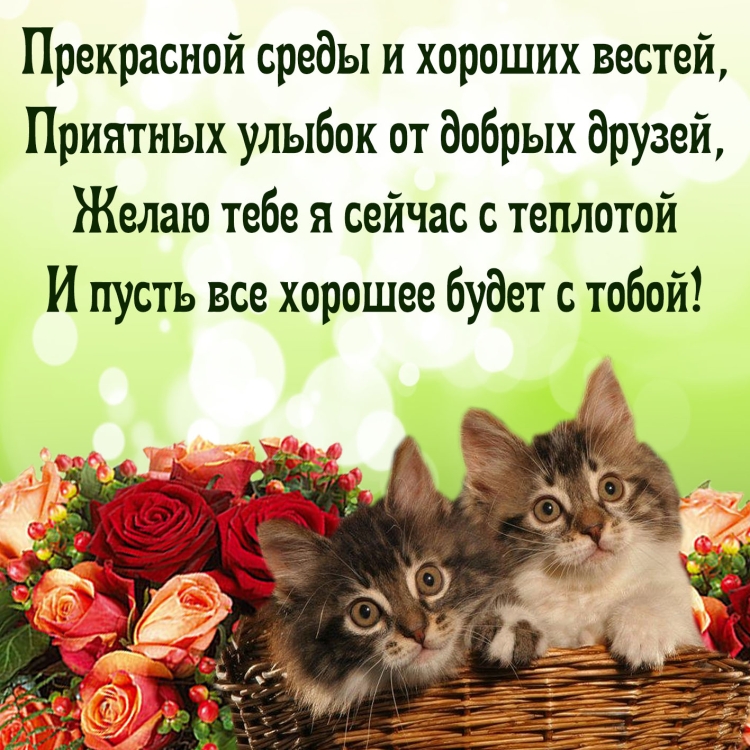 Открытки на каждый день