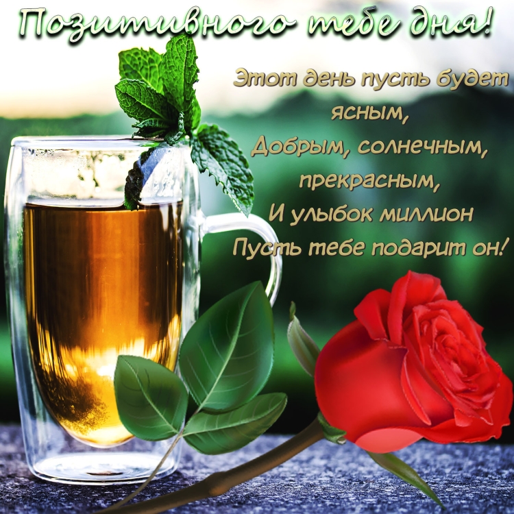 Пожелания доброго дня
