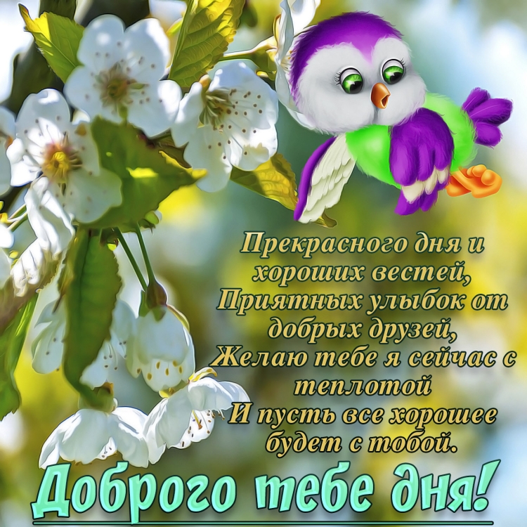Поздравления на каждый день в картинках