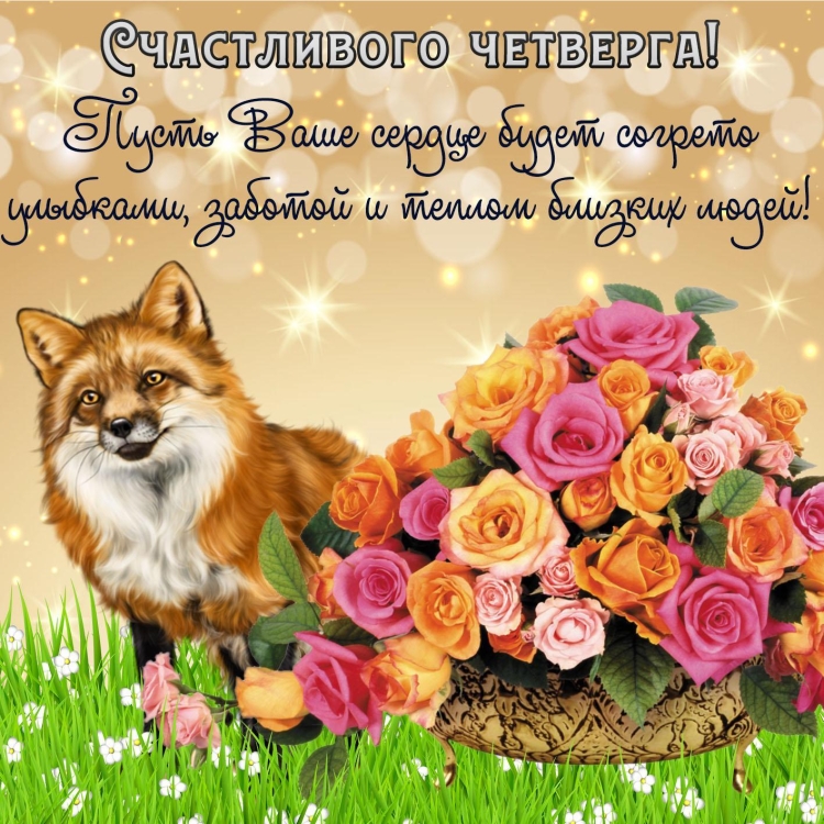 Добрые пожелания на каждый день