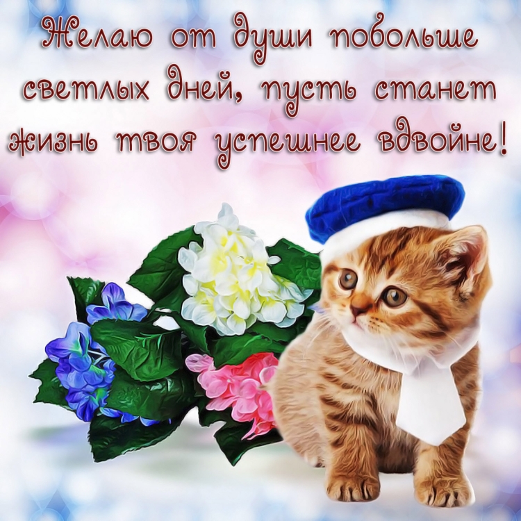 Открытки с добрым днём