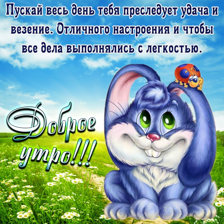 Открытки на каждый день
