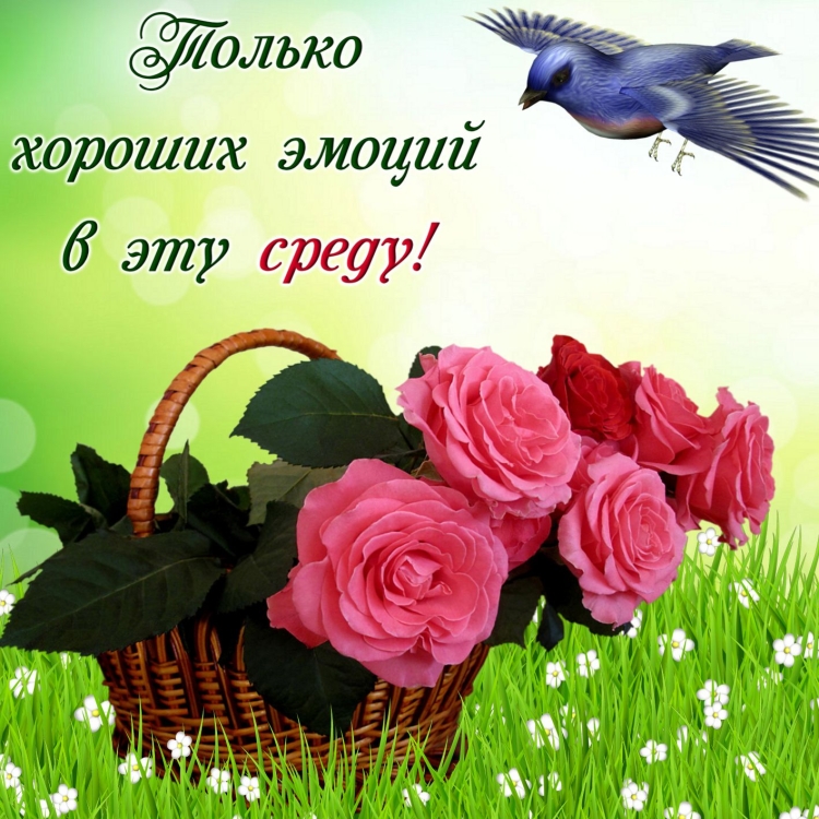 Необычные пожелания с добрым утром