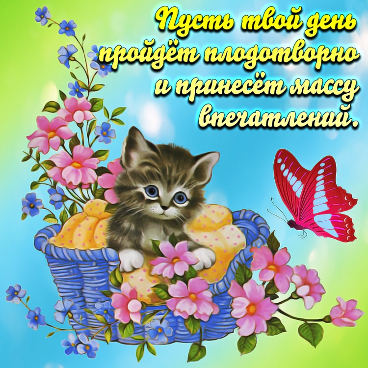 Поздравления на каждый день