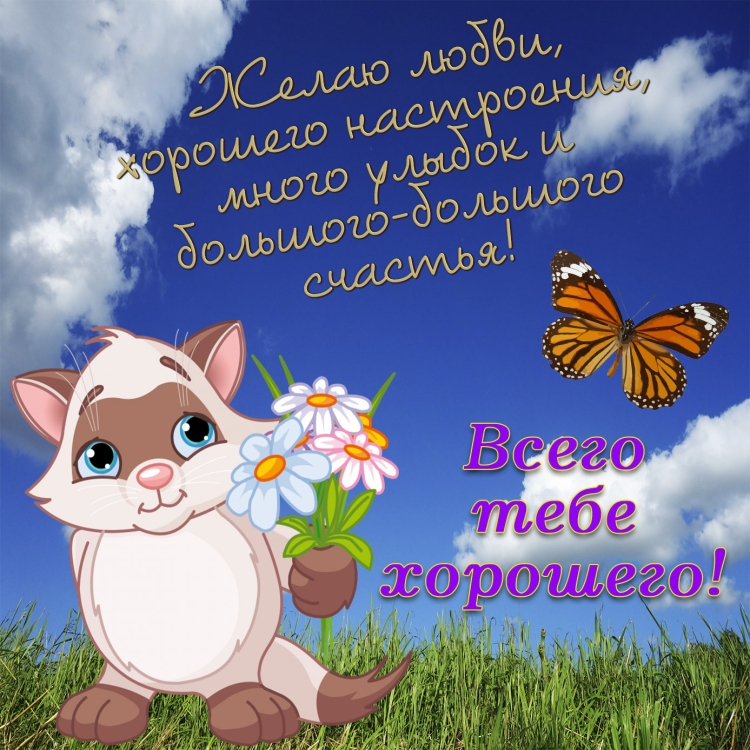 Пожелания для поднятия настроения