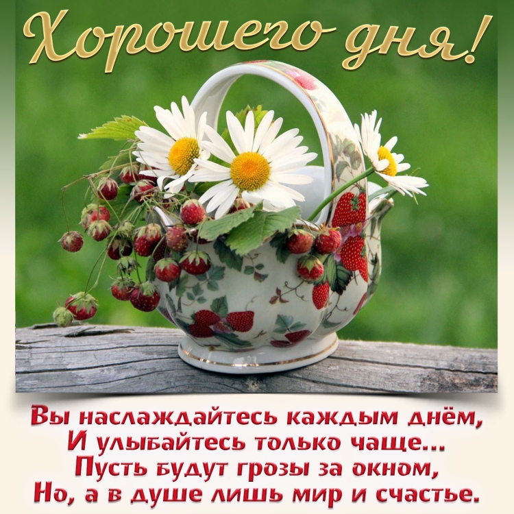 Поздравления с хорошим днем