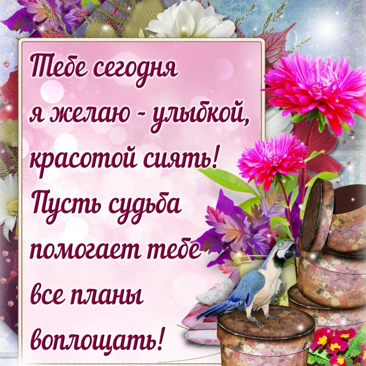 Пожелания накаждыц день