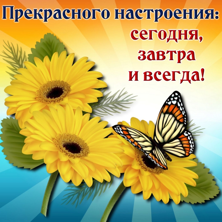 Поздравления на каждый день