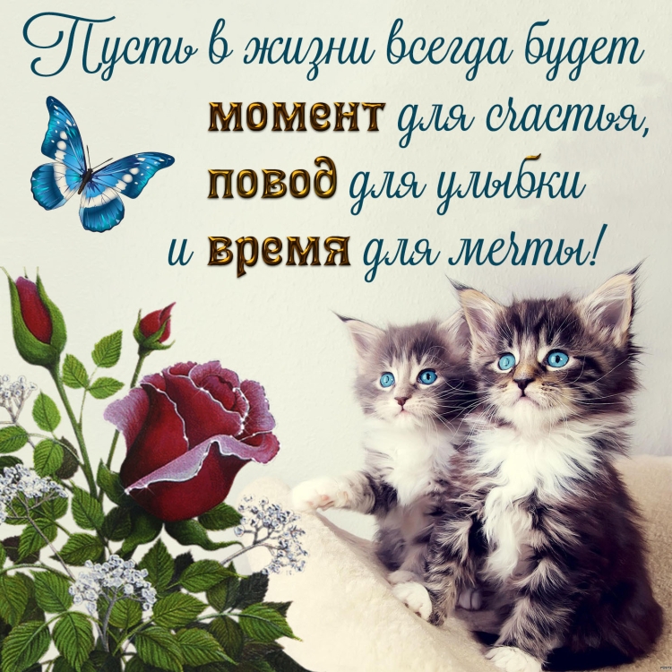 Поздравления на каждый день